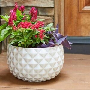 Southern Patio Pineapple White Ceramix 12-inch Bowl Planter